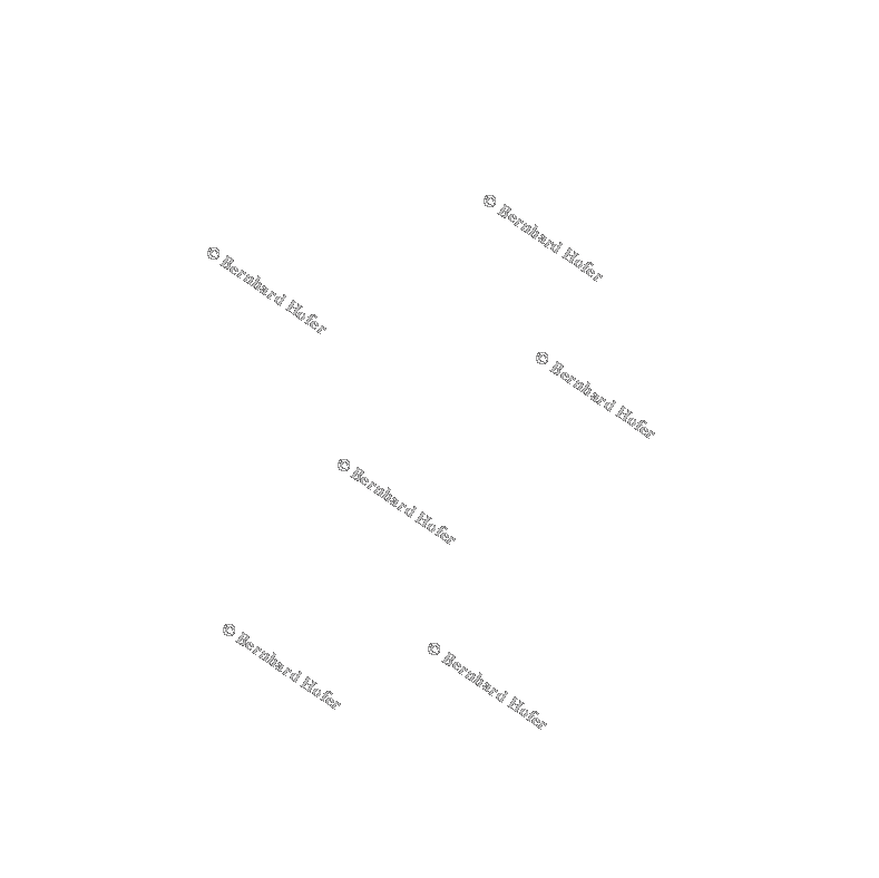 Textfeld:                                              © Bernhard Hofer

   


                                                                         © Bernhard Hofer
                  



   © Bernhard Hofer




                                                   © Bernhard Hofer




                                                                                         © Bernhard Hofer




                                                   © Bernhard Hofer
