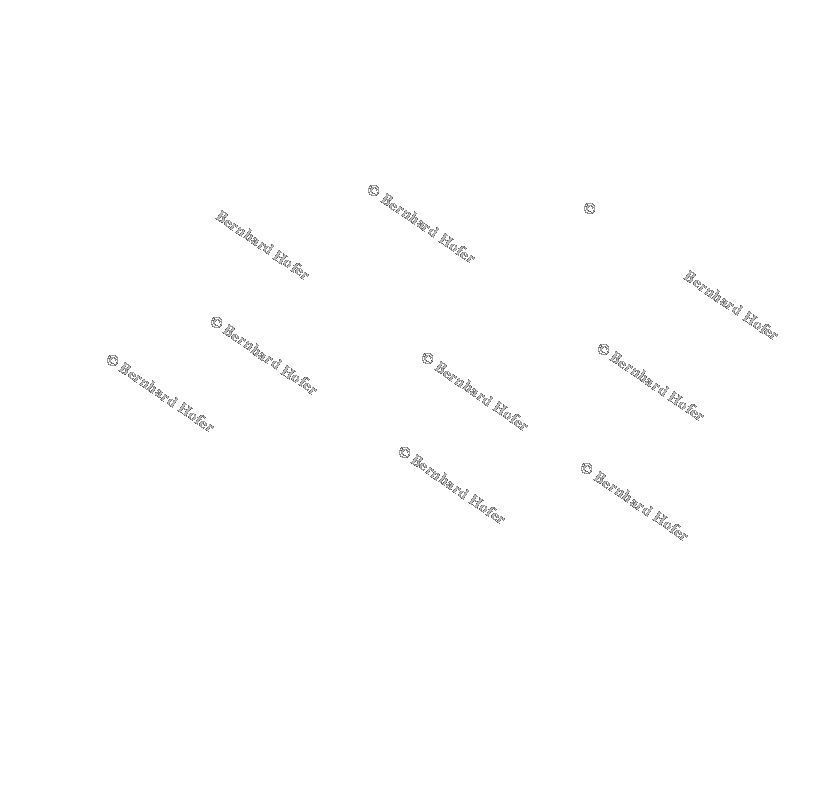 Textfeld:                                                                                 ©                          Bernhard Hofer                                   
 




                                    © Bernhard Hofer                                    © Bernhard Hofer





          Bernhard Hofer                                 © Bernhard Hofer                © Bernhard Hofer                                   
                  



                       © Bernhard Hofer                        © Bernhard Hofer                                   




        © Bernhard Hofer                               




